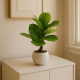 Artificial Plant